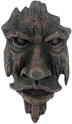 Design Toscano Nottingham Woods Greenman Tree Face Indoor/Outdoor Fantasy - Image 2