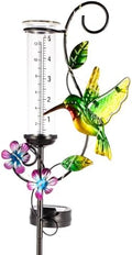 Hummingbird Rain Gauge with 5 Inch Glass Tube, Solar Rain Gauge by HOBYLUBY