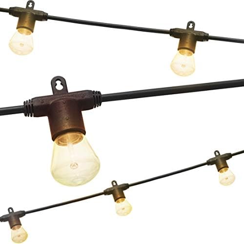 Enbrighten LED Bistro Outdoor String Lights, 24ft, 12 Shatter Resistant Lifetime Bulbs, 2200K Warm White, Weather Resistant, Indoor/Outdoor, Commercial Grade, Perfect for Backyard, Porch, Patio, 38356 by Enbrighten