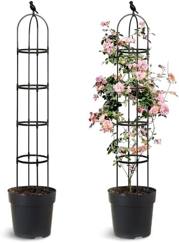 2 Pack Trellis for Climbing Planting Outdoor, 6ft Plant Trellis-Rustproof Metal Pipe with Heavy Duty Plastic Coated, Potted Plant Support for Clematis Vine Jasmine Support by Anothera
