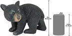 Design Toscano QM2594300 Roly-Poly Bear Cub Statue, Walking Bear,Full Color - Image 6