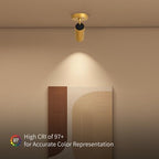 Aisilan 9W LED Dimmable Ceiling Spotlight, Adjustable Directional Surface Flush Mount Lighting, Wall Spot Lights Indoor Accent Fixture for Art Picture Gallery Paintings, CRI 97, 3000K, Gold - Image 2