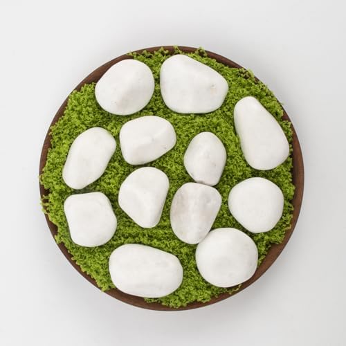 10lbs White River Rocks, Polished Pebbles for Plants, Garden, 1-2 Inch Decorative Stones, Ideal for Fish Tanks, Vases, Crafting, and Landscaping (Weight : 10 LB, Pure White) - Image 3