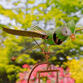 Zaer Ltd. Metal Rocking Bird Garden Stakes, 53 Inch Tall, Colorful Hand-Painted Birds, Spring Motion (Exotic Green Parrot) by ZaerLtd