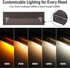 LEONLITE 12-Pack 10.6 Inch 5CCT Low Voltage LED Step Lights, Surface Mount - Image 5