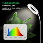 Garpsen 6000K Grow Light with Gooseneck, for Large Plants, 2Pack - Image 3