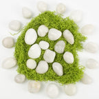 Natural White River Pebbles - LOOIOOJ 20 Lbs Polished Decorative Rocks, 0.5-1 inch, for Aquariums, Gardens, and Indoor Plant Drainage (White, Weight: 20 LB) - Image 3