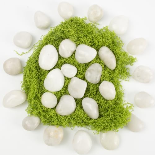 Natural White River Pebbles - LOOIOOJ 20 Lbs Polished Decorative Rocks, 0.5-1 inch, for Aquariums, Gardens, and Indoor Plant Drainage (White, Weight: 20 LB) - Image 3