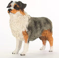 Conversation Concepts Australian Shepherd by ConversationConcepts