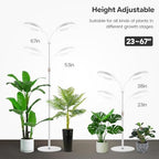 Garpsen Plant Lights Indoor, Dual-Head Full Spectrum with Stand, 168 LEDs - Image 2