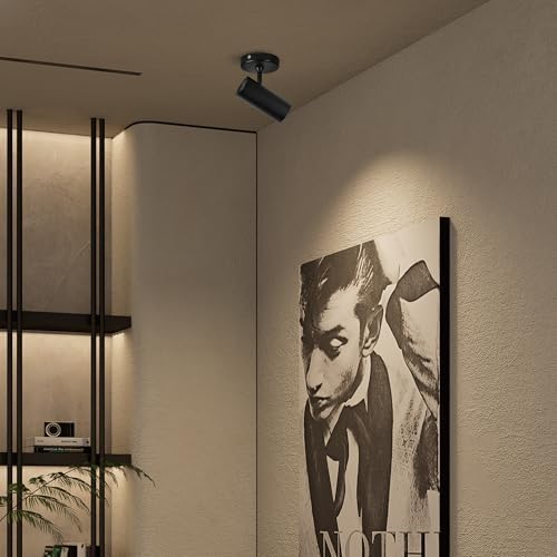 Aisilan Led Modern Directional Dimmable Spotlight Adjustable 90° Anti Glare Ceiling Spot Light for Indoor Foyer Living Room Warm White Black 9W CREE COB CRI 97 MSD015PB3K9WDim - Image 3