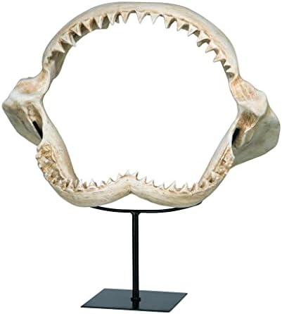 Design Toscano Shark's Jagged Jaws Statue - Image 3