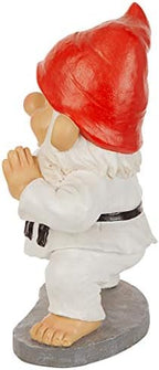 Design Toscano Karate Kobi Martial Arts Garden Gnome Statue - Image 4