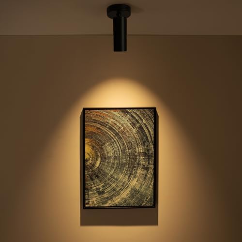 Aisilan 4 Pack 9W LED Modern Black Directional Dimmable Spotlight Indoor Adjustable 90° Anti Glare Ceiling Spot Light Lamp for Foyer Living Room Picture Artwork Lighting, Warm White 3000K, CRI 97 - Image 5