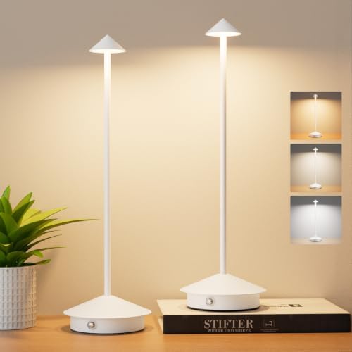 Cordless LED Table Lamps,Portable Battery Desk Lamp,2 Pack,White by Aoceley