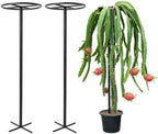 60-Inch Dragon Fruit Trellis - Sturdy Climbing Support for Gardens by Goooxim