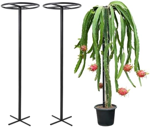 60-Inch Dragon Fruit Trellis - Sturdy Climbing Support for Gardens by Goooxim