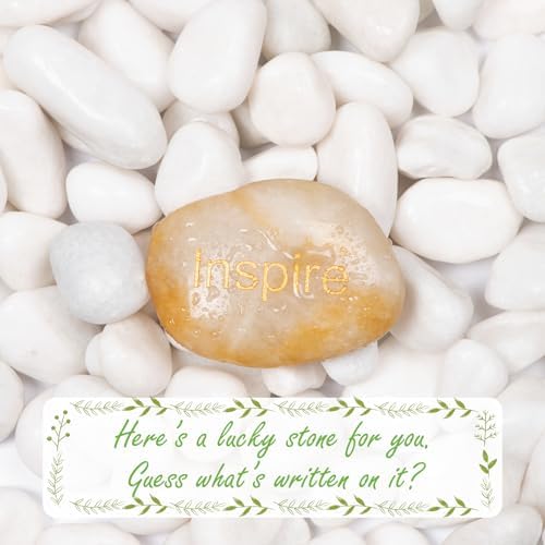 20lbs White Natural River Rocks, Polished Pebbles for Plants Garden, 1-2 inch Decorative White Stones, Ideal for Fish Tank, Vases, Crafting, Home Decor and Garden Landscaping Rocks,White - Image 3