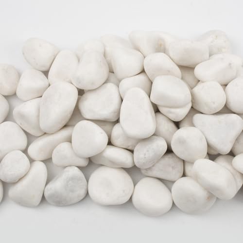 10lbs White River Rocks, Polished Pebbles for Plants, Garden, 1-2 Inch Decorative Stones, Ideal for Fish Tanks, Vases, Crafting, and Landscaping (Weight : 10 LB, Pure White) - Image 4