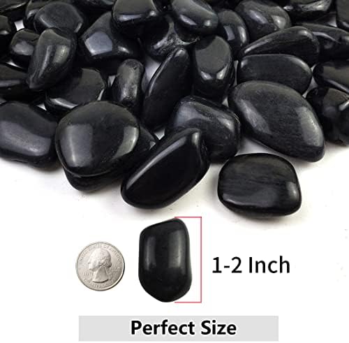 YISZM 10lbs Black Pebbles for Plants, 1-2 Inch High Polished Natural River Rocks for Landscaping, Decorative Stones Vase Filler Fish Tank Aquariums Garden Outdoor and Indoor DIY - Image 2