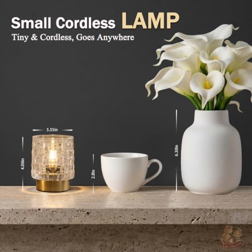 MJ PREMIER Battery Operated Lamp,Small Cordless Lamp with Timer, Clear-03 - Image 5