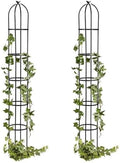 Evergreen Metal Garden Obelisk Trellis for Climbing Plants Outdoor, Indoor Plant Trellis for Potted Plants, Floral Pattern Arch Trellis (Black, 7 ft. Round, Set of 2) by EvergreenGarden