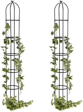 Evergreen Metal Garden Obelisk Trellis for Climbing Plants Outdoor, Indoor Plant Trellis for Potted Plants, Floral Pattern Arch Trellis (Black, 7 ft. Round, Set of 2) by EvergreenGarden
