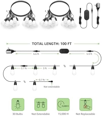 Lepro ZB1 AI Smart Outdoor String Lights, 100(88+12) ft RGB+IC+Warm White - Image 3