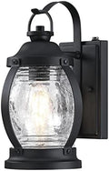 Westinghouse 6120400 Canyon Craftsman-Style One Light Outdoor Wall Fixture with Dusk to Dawn Sensor, Textured Black Finish, Clear Crackle Glass by Unknown