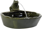 Sunnydaze 7" Ceramic Solar Powered Garden Water Fountain, Frog Spout, Green by SunnydazeDecor