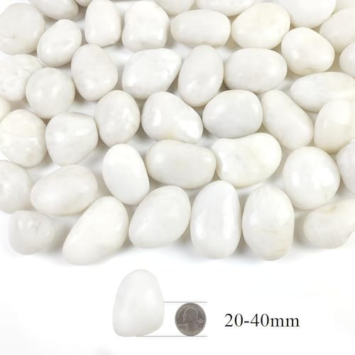 20LB White River Rocks,1-2.2 Inch Polished Pebbles for Plants, Decorative Stones for Landscaping. Succulents, Crafting,Fish Tank,Garden,Vase Filler, Outdoor Decoration - Image 2