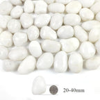 20LB White River Rocks,1-2.2 Inch Polished Pebbles for Plants, Decorative Stones for Landscaping. Succulents, Crafting,Fish Tank,Garden,Vase Filler, Outdoor Decoration - Image 2