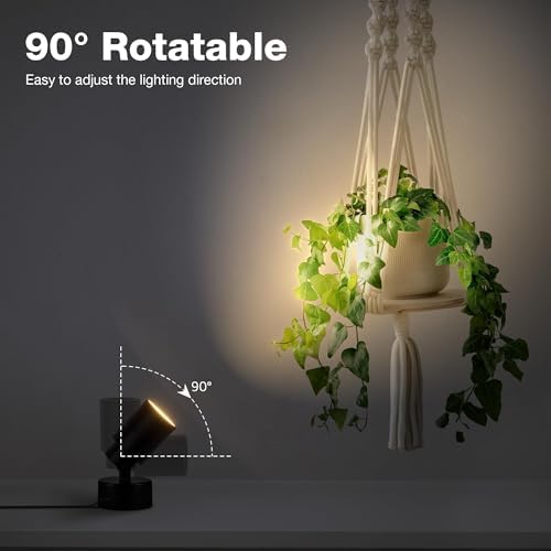 SUNVIE 2 Pack LED 120V SpotLights Indoor, 3W Up Lights Floor Spotlight, 3000K Uplights Indoor Accent Lighting for Plants Pictures Artwork, 5.9 FT Cord with Foot Switch - Image 3