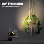 SUNVIE 2 Pack LED 120V SpotLights Indoor, 3W Up Lights Floor Spotlight, 3000K Uplights Indoor Accent Lighting for Plants Pictures Artwork, 5.9 FT Cord with Foot Switch - Image 3