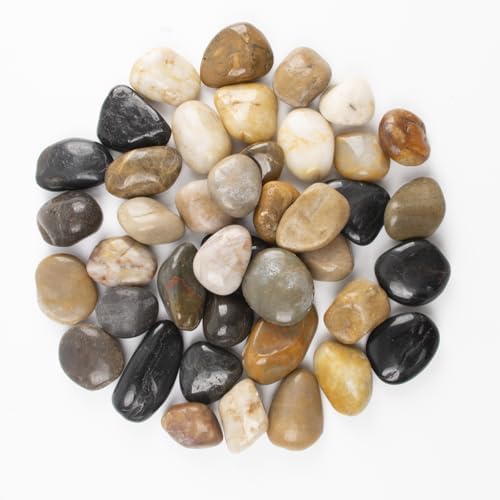 10lbs 1-2 Inch River Rocks, Decorative Mixed Pebbles for Garden Landscaping, Indoor Plants, Fish Tanks, Vases, and Succulents – Ideal for Home Decoration and Outdoor Gardens (Weight : 10 LB, Mixed) by LOOIOOJ