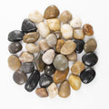 10lbs 1-2 Inch River Rocks, Decorative Mixed Pebbles for Garden Landscaping, Indoor Plants, Fish Tanks, Vases, and Succulents – Ideal for Home Decoration and Outdoor Gardens (Weight : 10 LB, Mixed) by LOOIOOJ