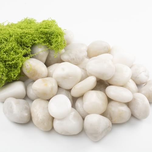 40lbs White River Rocks - 1-2Inch Natural White Rocks for Potted Plants, Decorative Rocks for Landscaping, and River Rocks for Aquariums (Weight : 40 LB, White) - Image 5