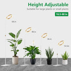 Full Spectrum 68" Floor Grow Lights for Indoor Plants with Base - Image 2
