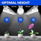 Barrina T8 Grow Lights for Indoor Plants, 5000K Full Spectrum, 1FT, 4 Packs - Image 5