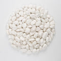 40 lbs White Polished Landscape Stones, 0.5-1 Inch Decorative Rocks for Gardens, Pathways, Pots, Vase Fillers, Aquarium Decoration, Glass Containers, and Yard Borde (Pure White, Weight: 40 LB) by LOOIOOJ