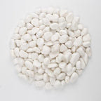 40 lbs White Polished Landscape Stones, 0.5-1 Inch Decorative Rocks for Gardens, Pathways, Pots, Vase Fillers, Aquarium Decoration, Glass Containers, and Yard Borde (Pure White, Weight: 40 LB) by LOOIOOJ