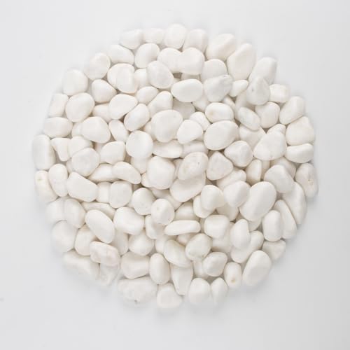 40 lbs White Polished Landscape Stones, 0.5-1 Inch Decorative Rocks for Gardens, Pathways, Pots, Vase Fillers, Aquarium Decoration, Glass Containers, and Yard Borde (Pure White, Weight: 40 LB) by LOOIOOJ