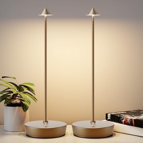 2Pack Rechargeable Cordless Table Lamp, Portable Powered LED Battery 6000mAh Metal USB Desk Lamp, 3 Levels Brightness Light for Restaurants Outdoor (2pack Titanium) by YIBEN