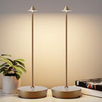 2Pack Rechargeable Cordless Table Lamp, Portable Powered LED Battery 6000mAh Metal USB Desk Lamp, 3 Levels Brightness Light for Restaurants Outdoor (2pack Titanium) by YIBEN