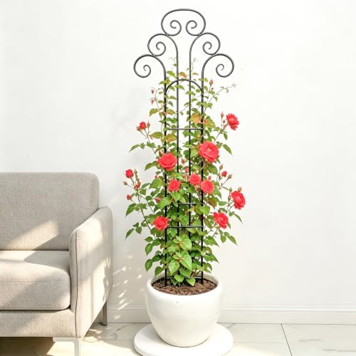 Metal Indoor Plant Trellis for Climbing Plants, 47" Rose & Clematis Support - Image 6