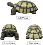SKYFIRE Large Turtle Statues for Garden - 29.5' x 15.3' x 11.8' Fiber Reinforced Concrete Tortoise Sculpture, Garden Sculptures & Statues for Outdoors, Lawn, Yard, Indoor Outdoor Decor - Image 4