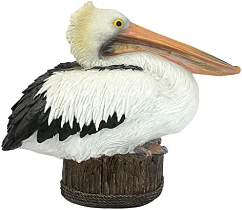 Design Toscano Dock of the Bay Pelican Statue - Image 4