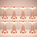 Riakrum 8 Pcs LED Cordless Table Lamp Bulk Rechargeable,Rose Gold by Riakrum