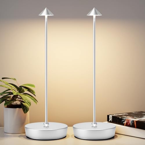 2Pack Rechargeable Cordless Table Lamp, Portable Powered LED Battery 6000mAh Metal USB Desk Lamp, 3 Levels Brightness Light for Restaurants Outdoor (2pack Silver) by YIBEN