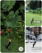Low Voltage Tree Uplighting Outdoor with 5 Color Temperature - Image 5